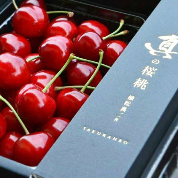 真の桜桃【紅秀峰】 ※佐藤錦画像