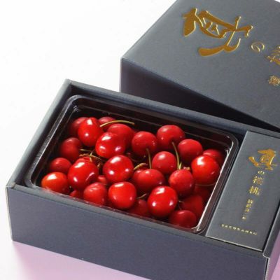 真の桜桃 紅秀峰 2L 500g