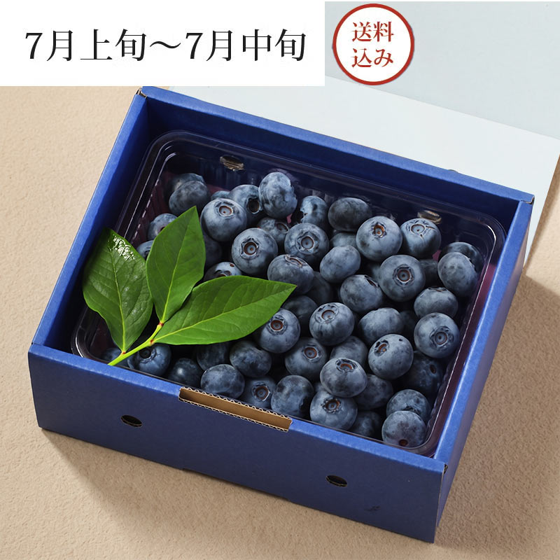 月山高原鈴木農園の 大粒ブルーベリー (生) パッケージ画像