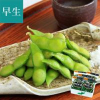 鶴岡 だだちゃ豆 ＜早生豆＞ 8月上～中旬お届けイメージ