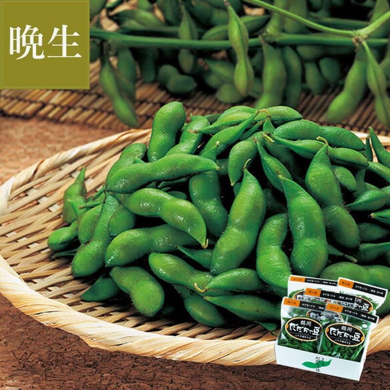 尾浦 だだちゃ豆　イメージ