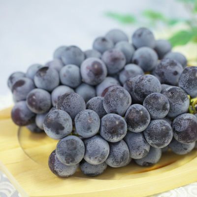 ピオーネ ぶどう 2房（約1.2kg） 9月中旬～9月下旬お届け