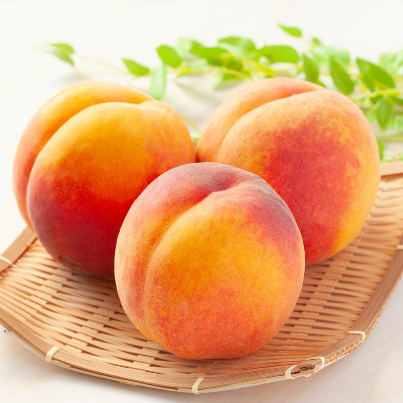 ワッサー　イメージ4