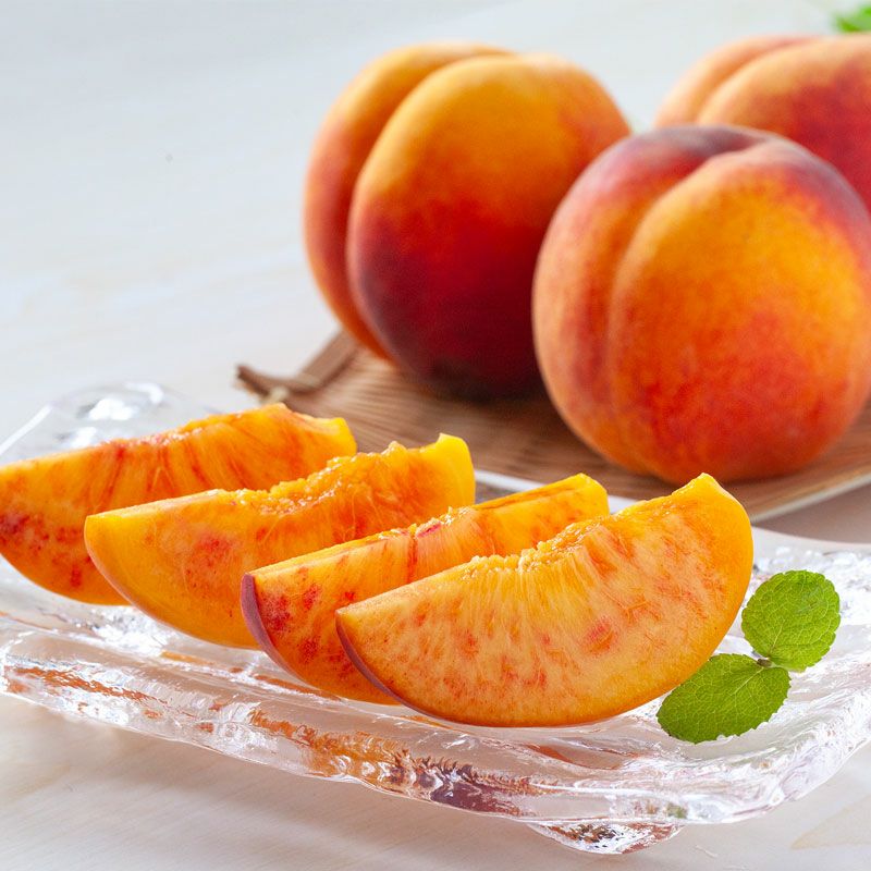 ワッサー　イメージ5