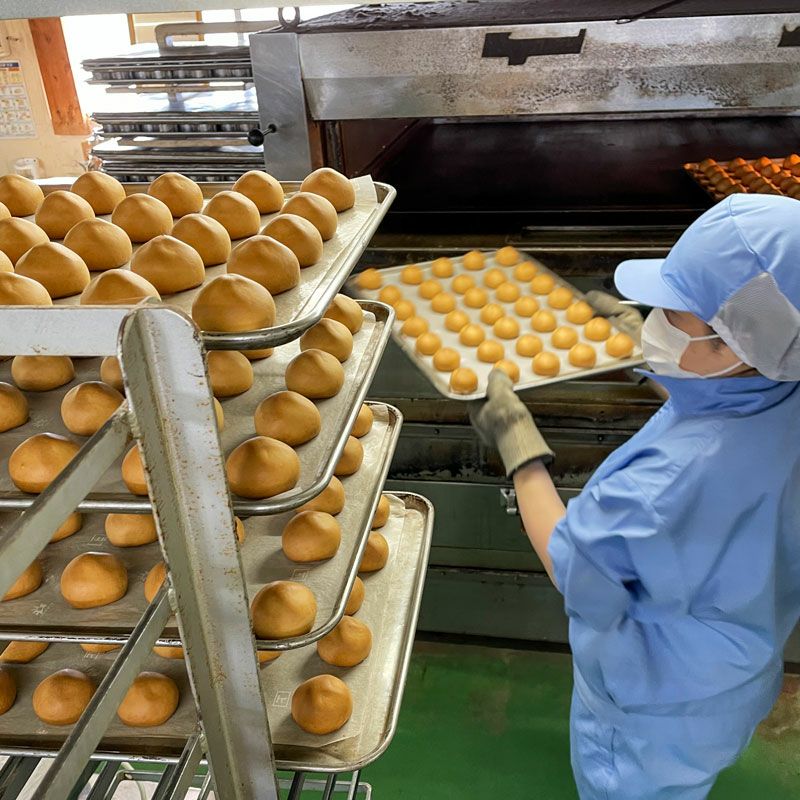 だだっ子 8個入 だだちゃ餡のしっとり焼き饅頭｜清川屋