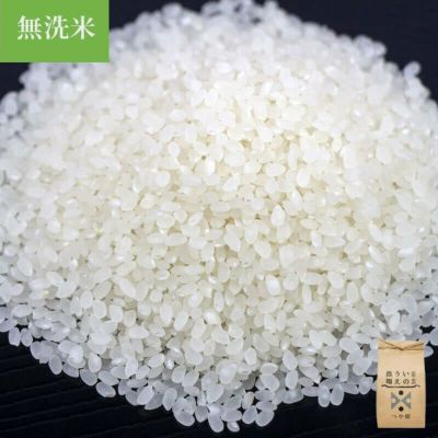 井上農場 つや姫 2kg 25年(令和7年度産)庄内米 山形県のお米｜清川屋