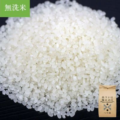山形県庄内産　つや姫中粒米　玄米25kg 伝説の庄内米 つや姫/玄米 5kg 25年(令和7年度産)庄内米 山形県