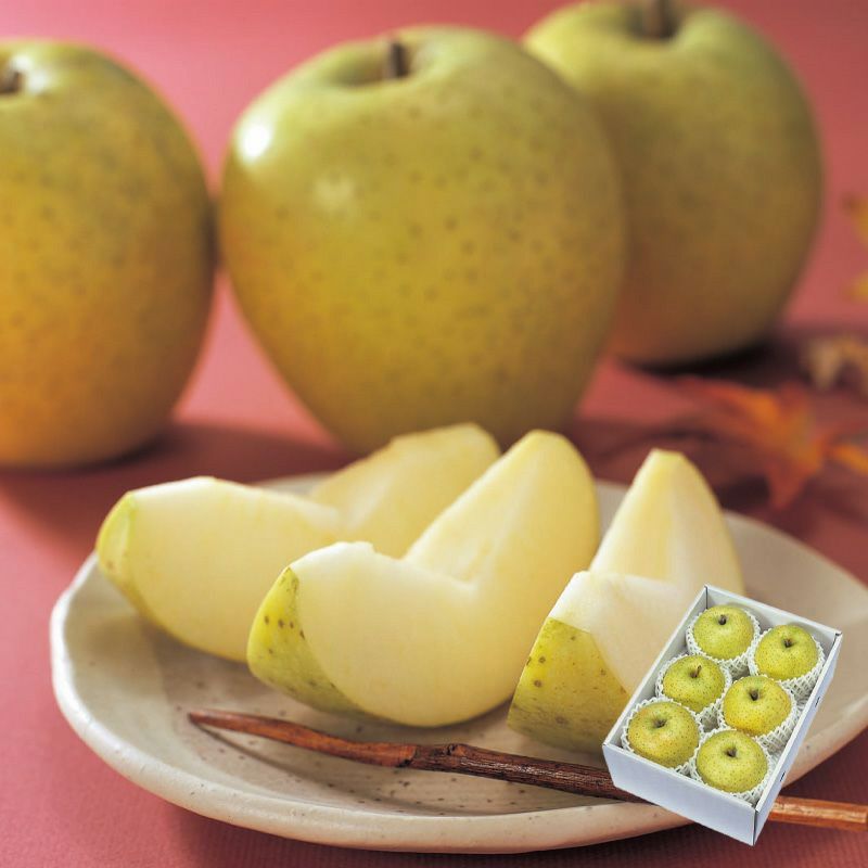 ☆ りんご　さま　専用　☆ りんご。さま専用 ☆りんご様専用☆ りんごさま専用 りんごさま専用