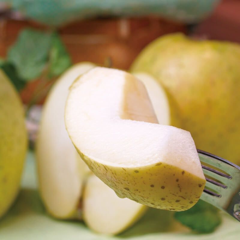 王林 りんご りんごの名産地朝日町和合平のリンゴ｜清川屋