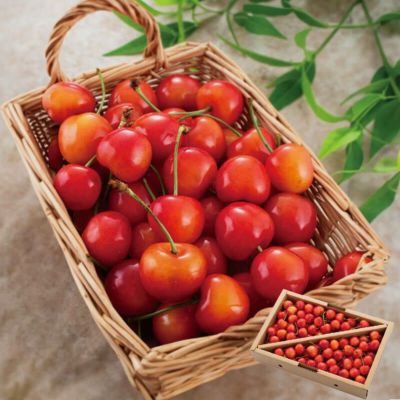 紅秀峰 秀選 バラ詰め L～2L 1kg
