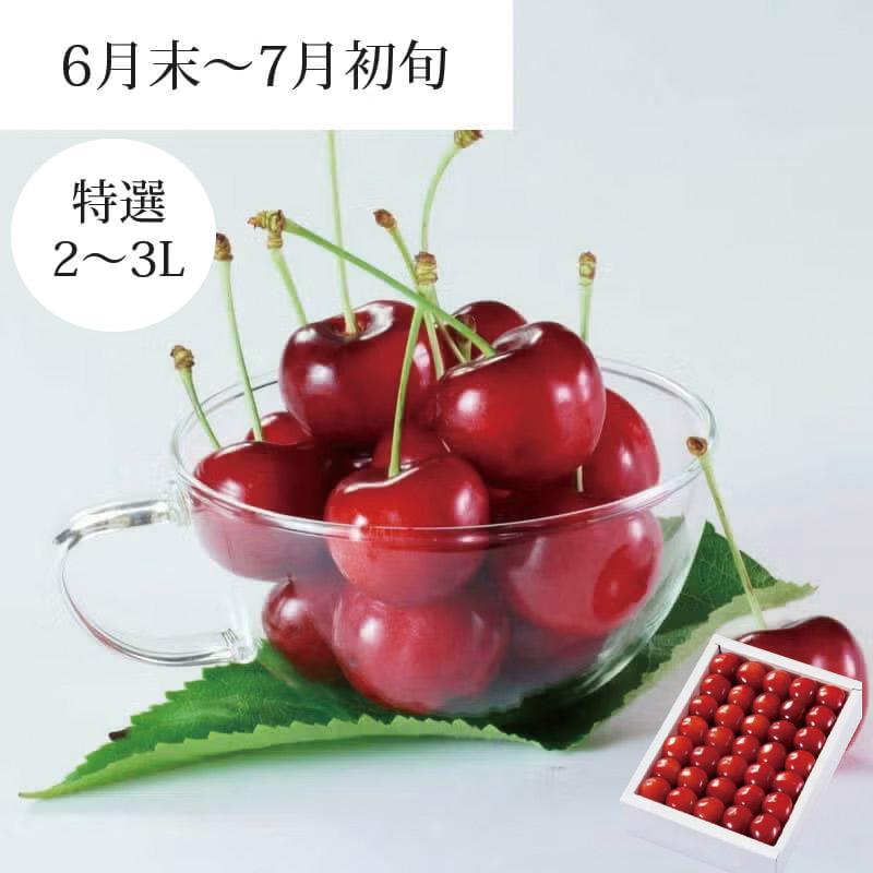 紅てまり 特選 職人詰め 500g 県内生産量1％未満！超希少な山形