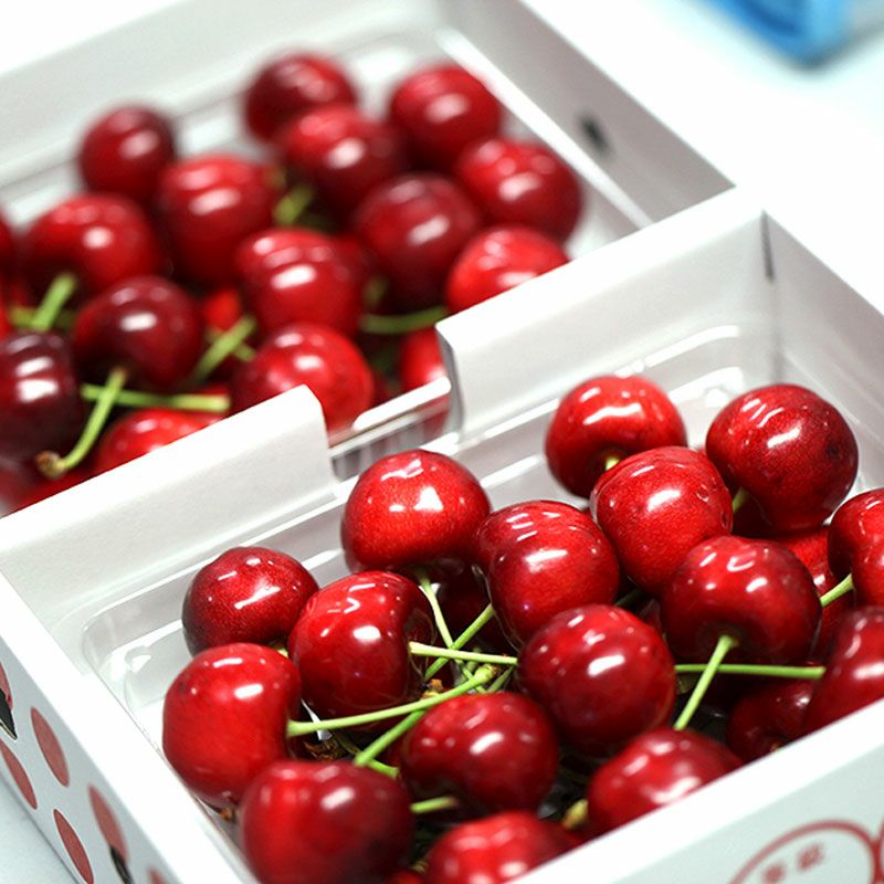 紅てまり 特選 職人詰め 500g 県内生産量1％未満！超希少な山形