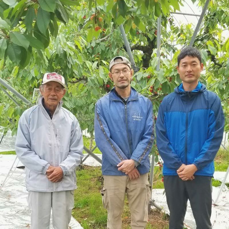 紅てまり_紅てまりの生産者・軽部さん