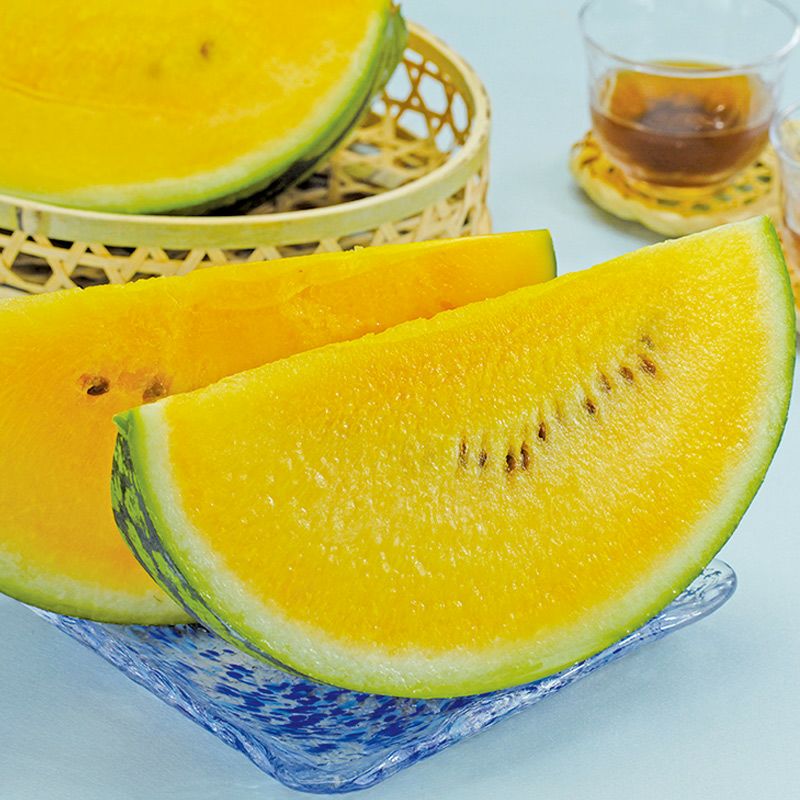 金色羅皇スイカ_イメージ