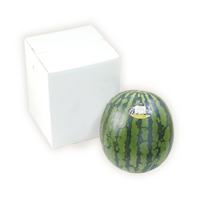 金色羅皇スイカ_パッケージ