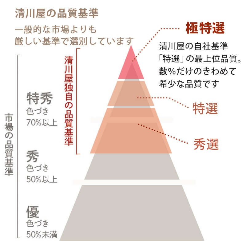 七宝焼　鳥桜文瓶　唐木台付　桐箱付　D　R5643 楽天市場】盆提灯 銘木行灯 桜 対絵 大12号 玉香炉付 桐箱 一対