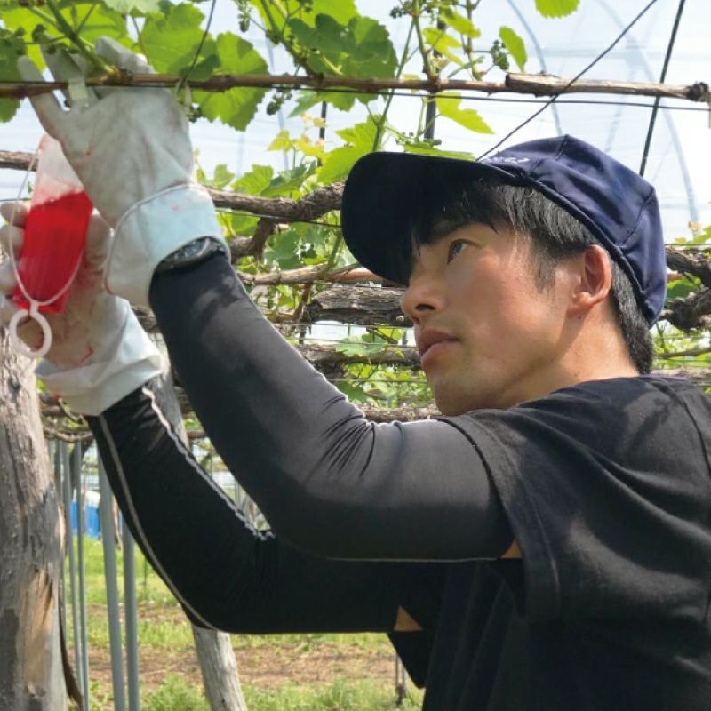 髙橋さん