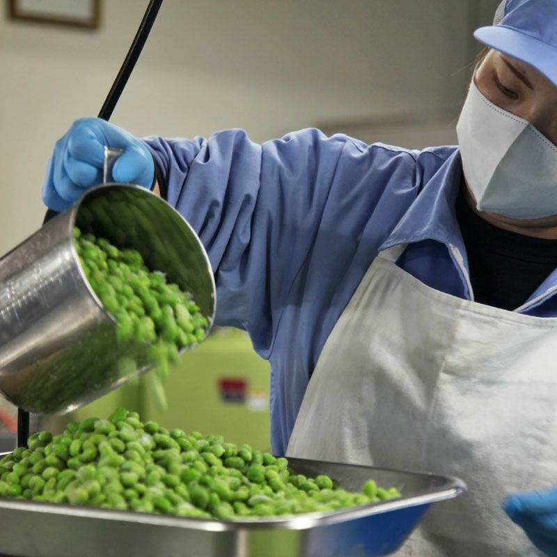 製造イメージ画像1