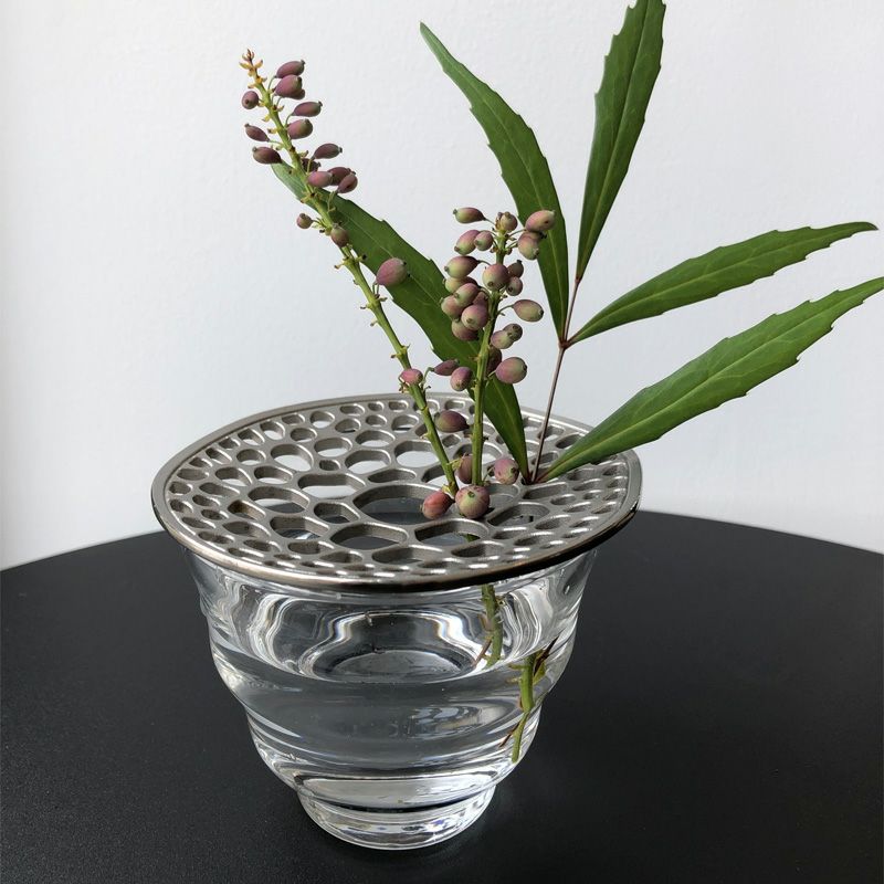 あやめの茎_イメージ画像2