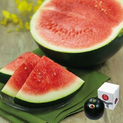 すいか様 エースラベル H-0306 スイカ糖度表 500枚入-お菓子・パン