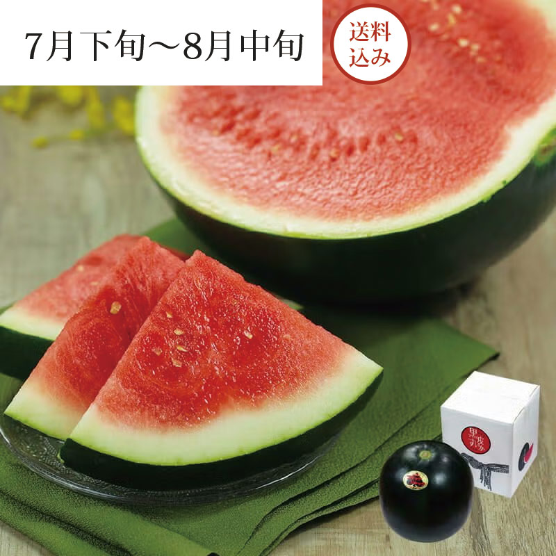 ブラックジャック_イメージ画像