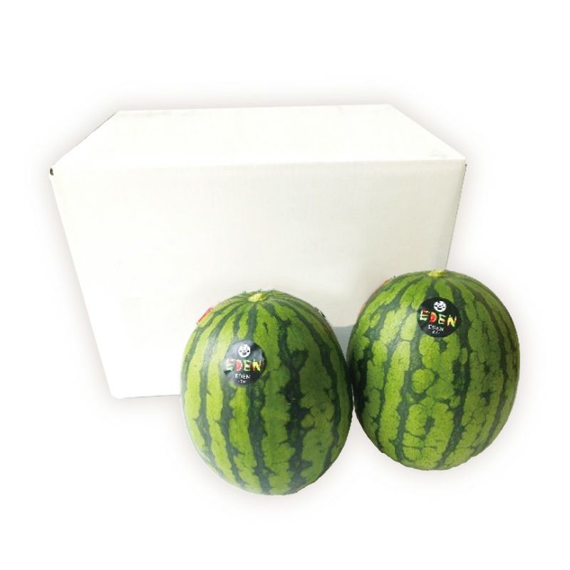 小玉スイカ ピノガール_パッケージ画像