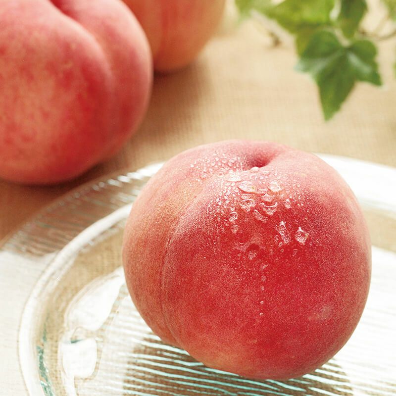 夏かんろ 桃 果汁たっぷりで甘い！山形県産もも 早生桃｜清川屋