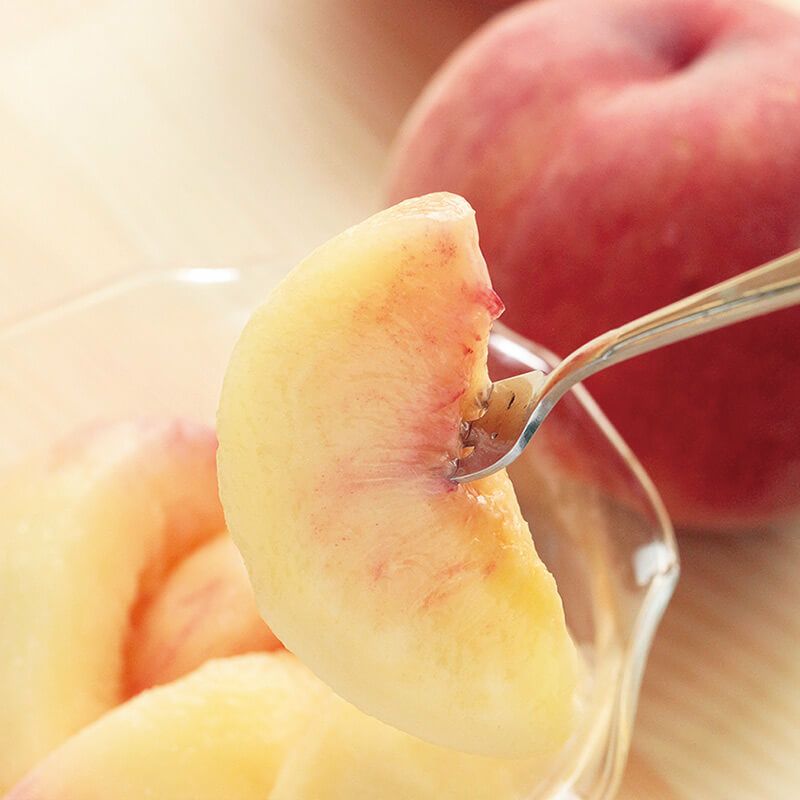 太陽のあかつき_イメージ画像