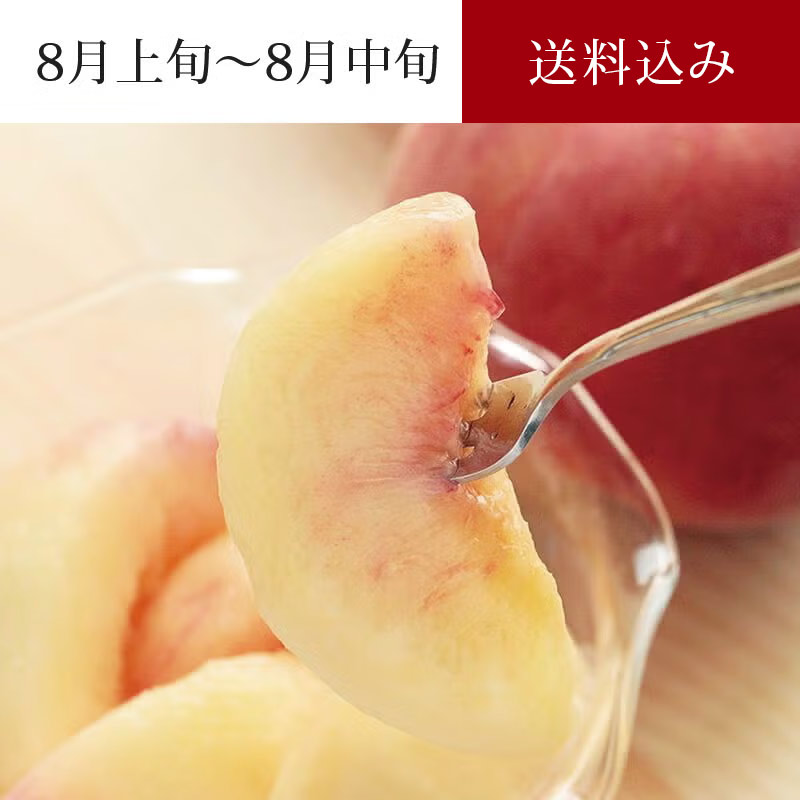 太陽のあかつき_イメージ画像