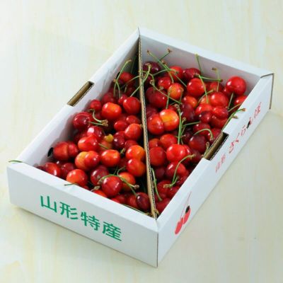 双子果サブイメージ