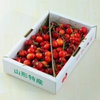 双子果サブイメージ