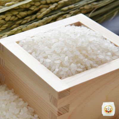 環境配慮米 つや姫 2合 300g 24年産庄内米