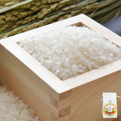 環境配慮米 つや姫 1kg 24年産庄内米