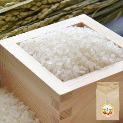 環境配慮米 つや姫 5kg 24年産庄内米