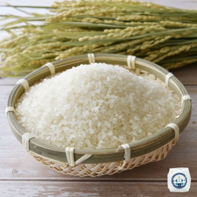 環境配慮米 雪若丸 2合 300g 24年産庄内米