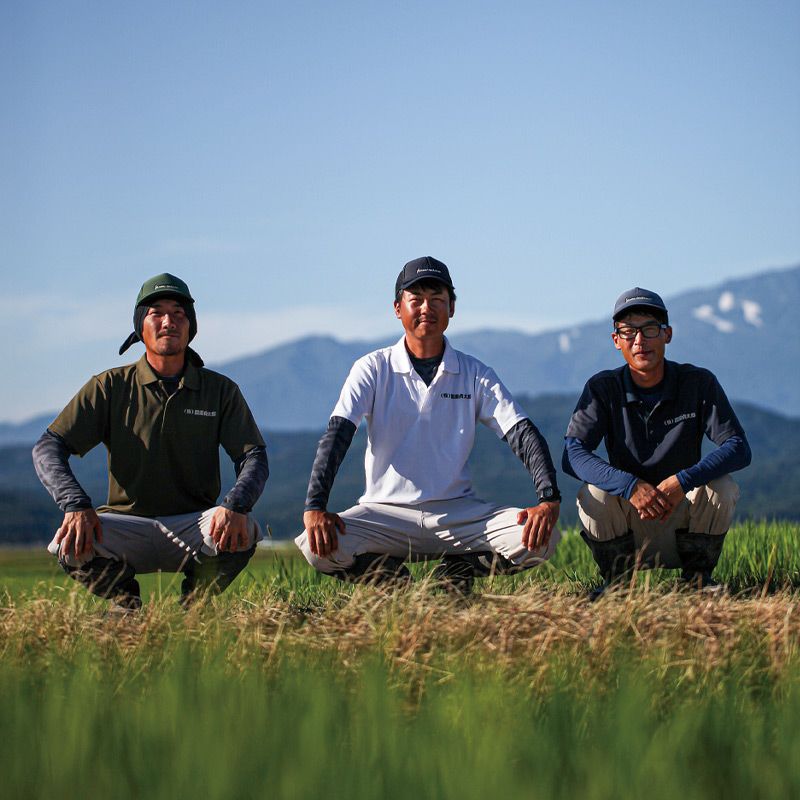 環境配慮米 雪若丸　300g_イメージ画像3