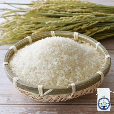 環境配慮米 雪若丸 1kg 24年産庄内米