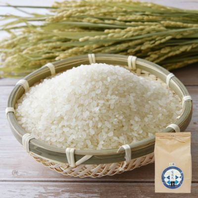 環境配慮米 雪若丸 5kg 24年産庄内米