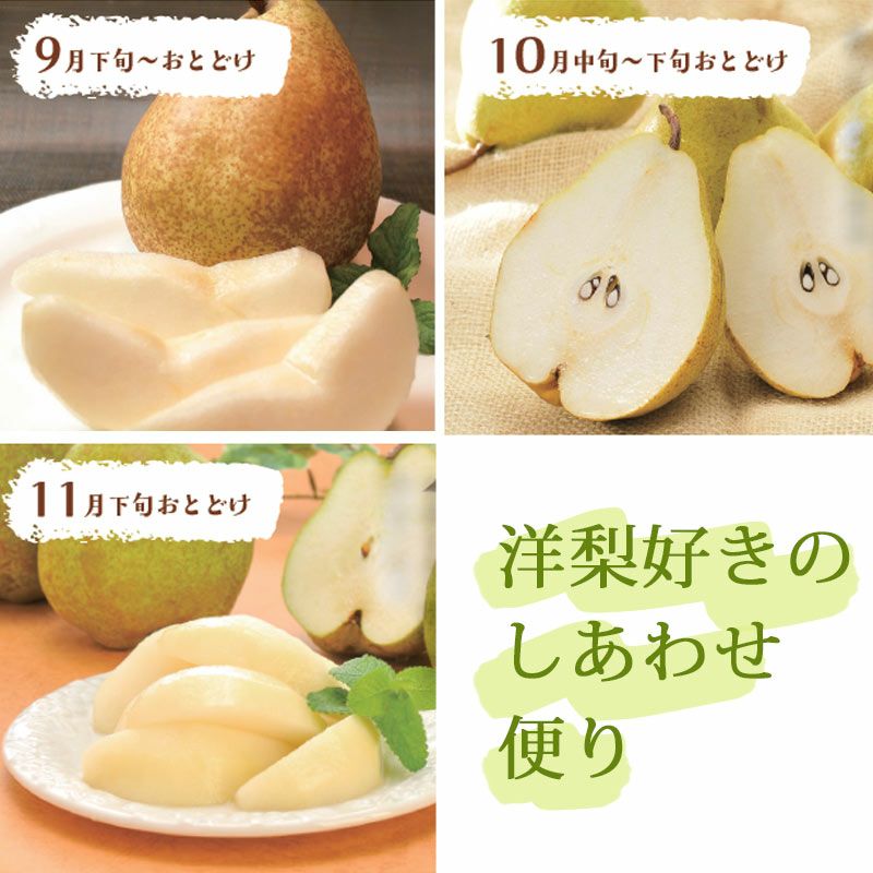 山形県産 洋梨食べつくし 3回お届けコース