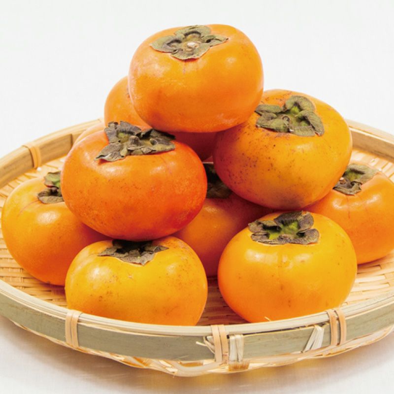 ご家庭用 庄内柿2㎏_イメージ画像