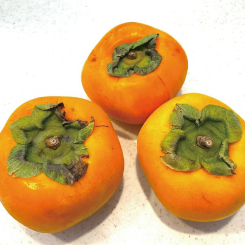 ご家庭用 庄内柿2㎏_イメージ画像