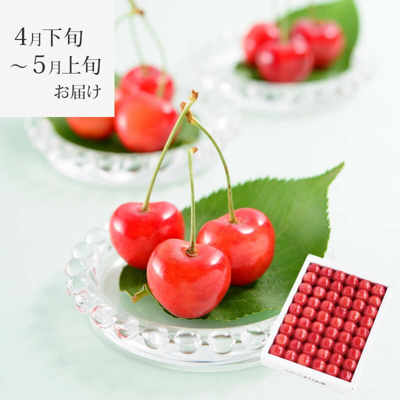 温室そだち 佐藤錦 職人詰め L 300gイメージ1