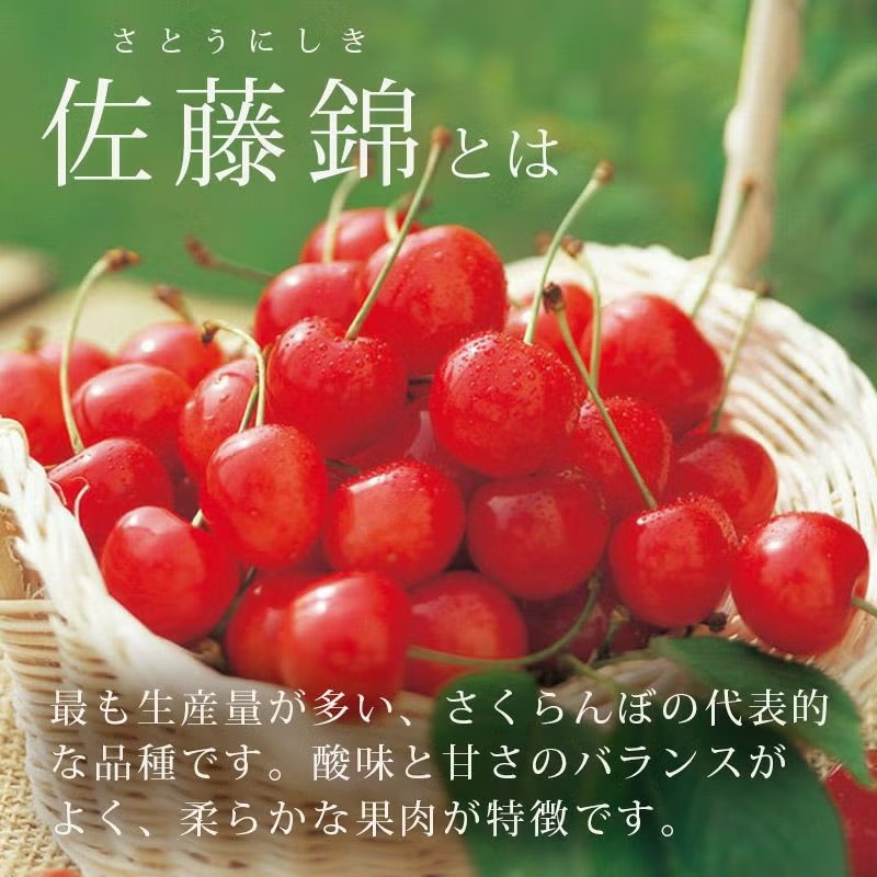 〈4月下旬～お届け〉温室そだち 佐藤錦 職人詰め 2L 300g_長期不在