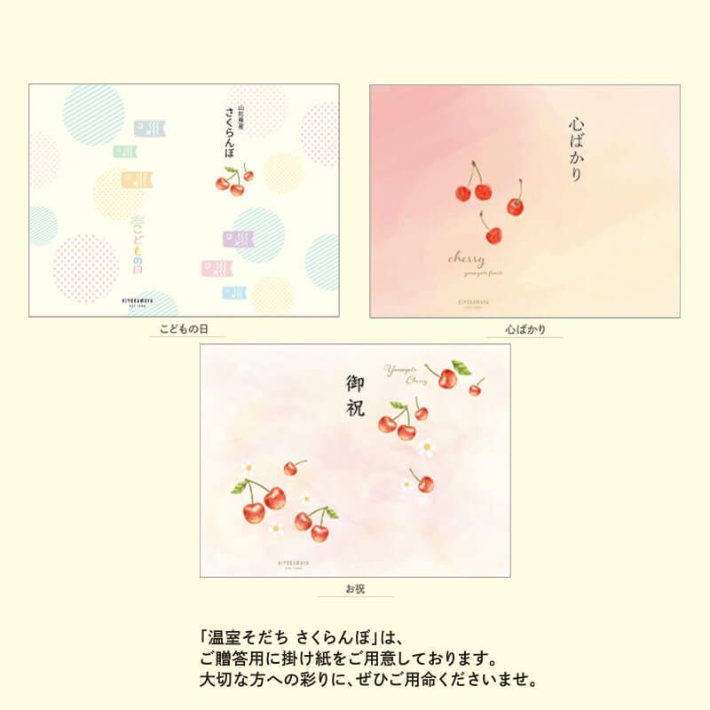 〈4月下旬～お届け〉温室そだち 佐藤錦 L 100g×2パック_懸け紙