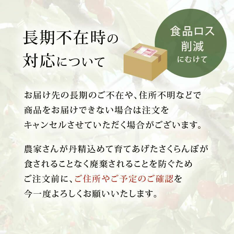 〈4月下旬～お届け〉温室そだち 佐藤錦 L 100g×2パック_長期不在時対応