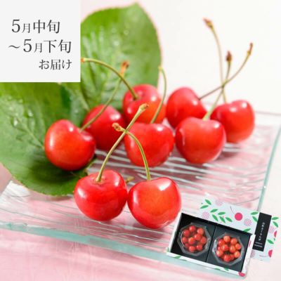 〈5月中旬～下旬お届け〉温室そだち 佐藤錦 L 100g×2パック