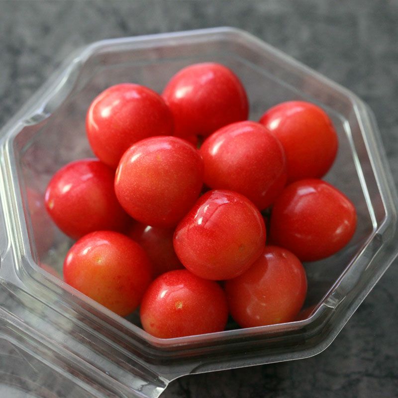 〈5月中旬～下旬お届け〉温室そだち 佐藤錦 L 100g×2パック_イメージ4