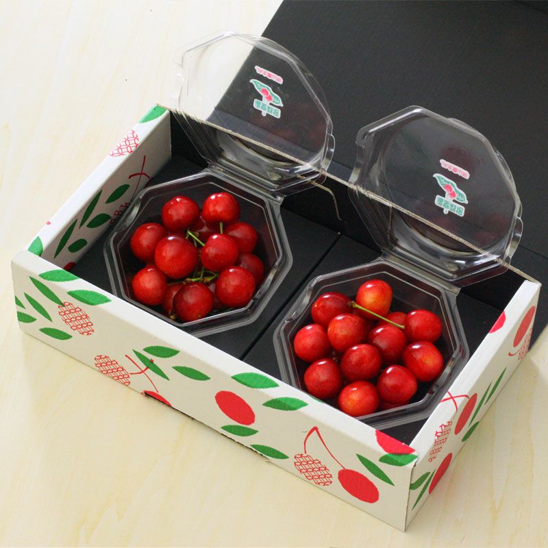 〈5月中旬～下旬お届け〉温室そだち 佐藤錦 L 100g×2パック_イメージ7