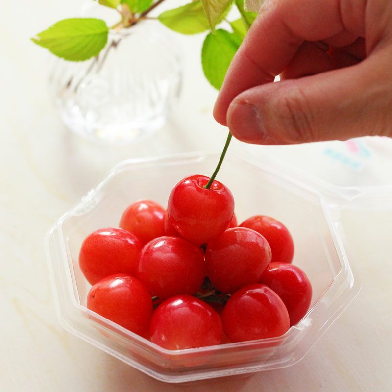 母の日さくらんぼ 佐藤錦 L 100g×2パック 温室そだちイメージ2