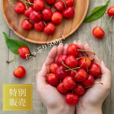 山形の至福体験佐藤錦